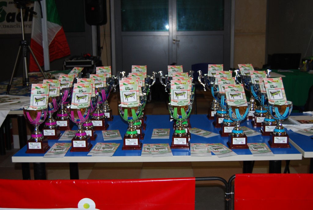 rimini 2012