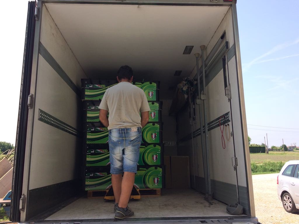 Memorial de Carlo 13